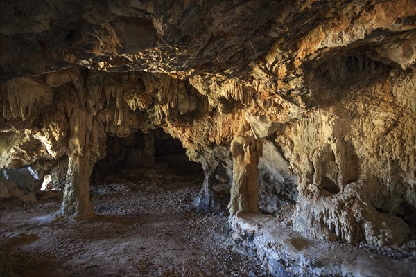 Cave in a karst cone called mogote