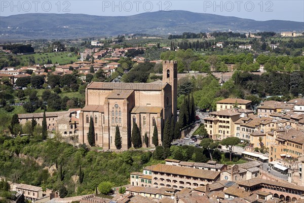 View of Basilica of San Domenico from Torre del Mangia