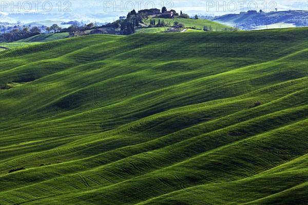 Hilly landscape