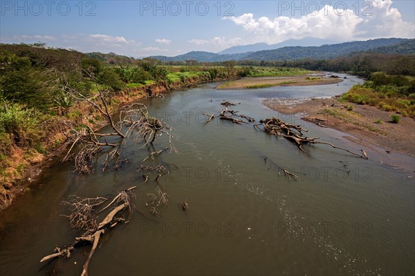 Tarcoles River