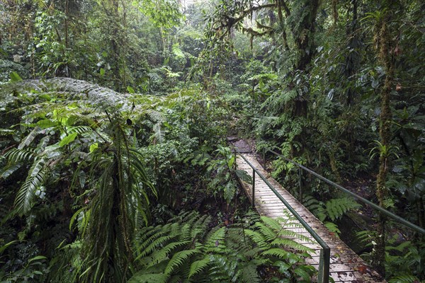 Bridge along the Encantado Trail