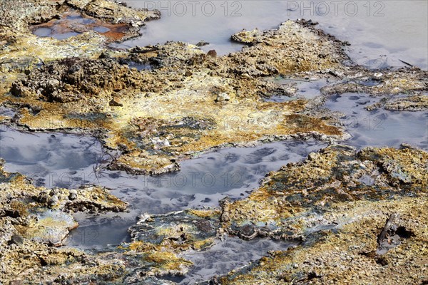 Fumaroles with mineral deposits