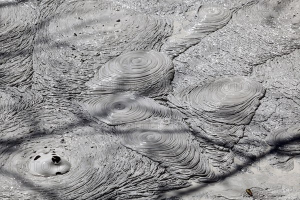 Fumarole with bubbling grey mud