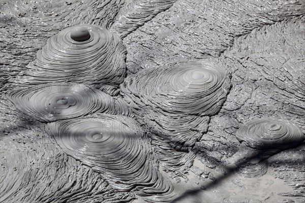 Fumarole with bubbling grey mud