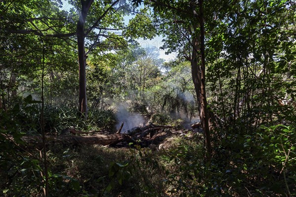 Steaming Fumaroles in the Rainforest of the National Park Rincon de la Vieja