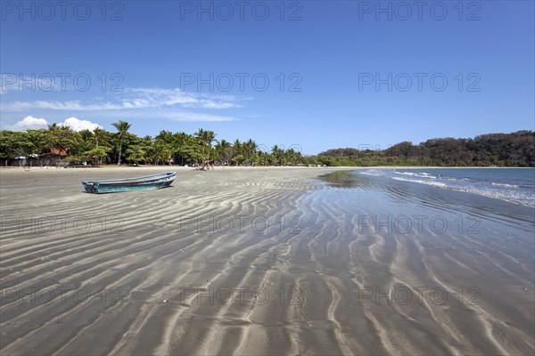 Palm trees and sandy beach at low tide in Samara