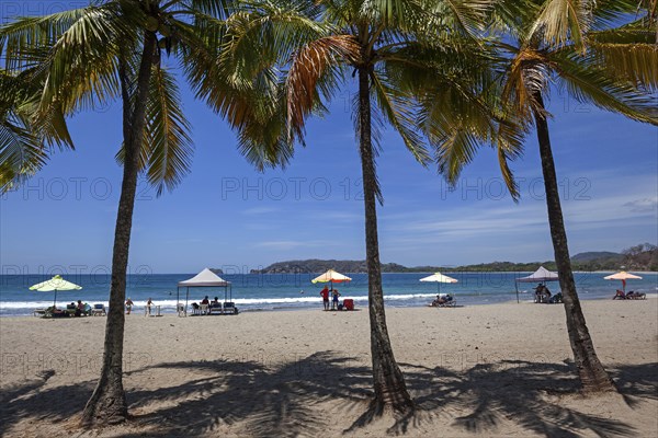 Palm trees and sandy beach at low tide in Samara