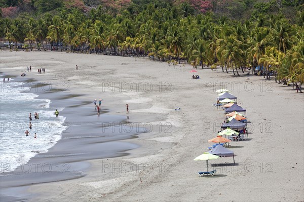 Sandy beach with palm trees