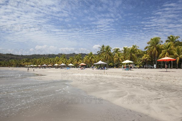 Sandy beach with palm trees