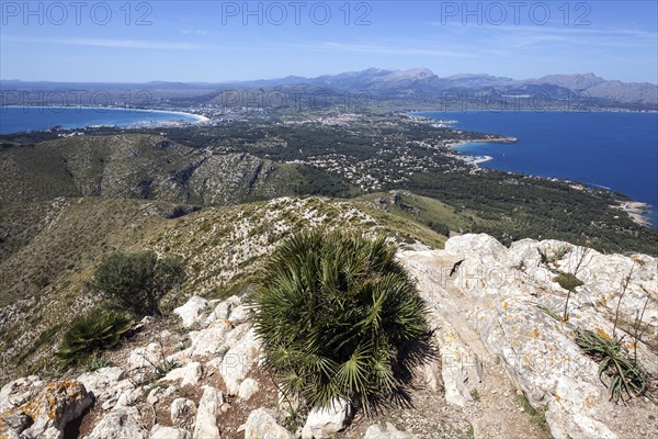 View from Talaia d'Alcudia