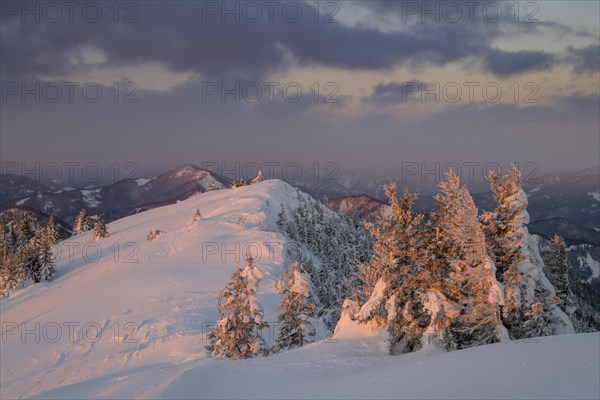 Sunrise in winter at Unterberg