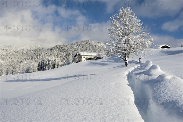 Winter landscape