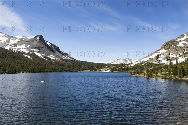 Mountain Lake Tioga Lake