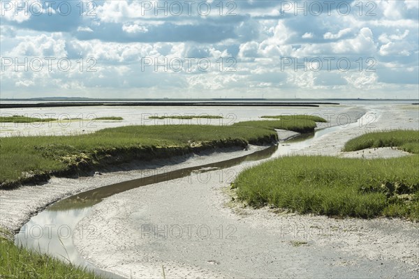 Embankment foreland Hamburger Hallig