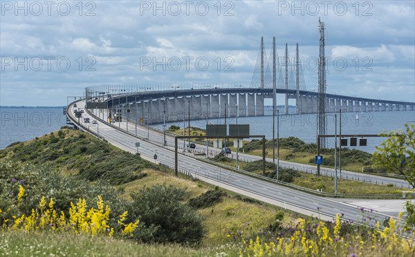 Oresund Bridge