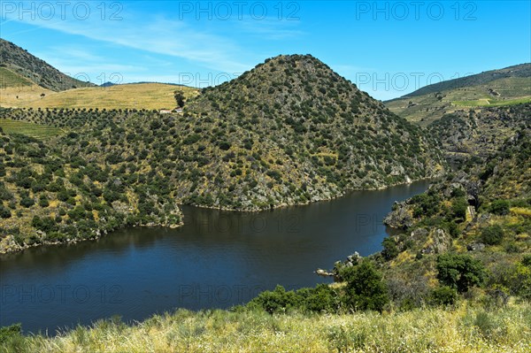 River landscape in the Upper Douro Valley