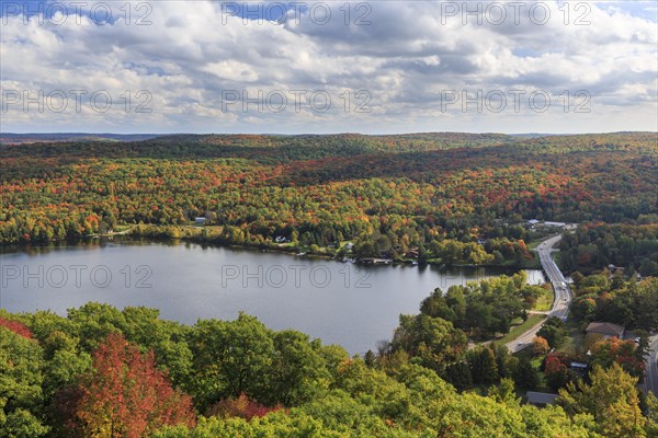 Autumn forest at Lake of Bays