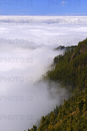 Trade wind clouds piling up around the mountain