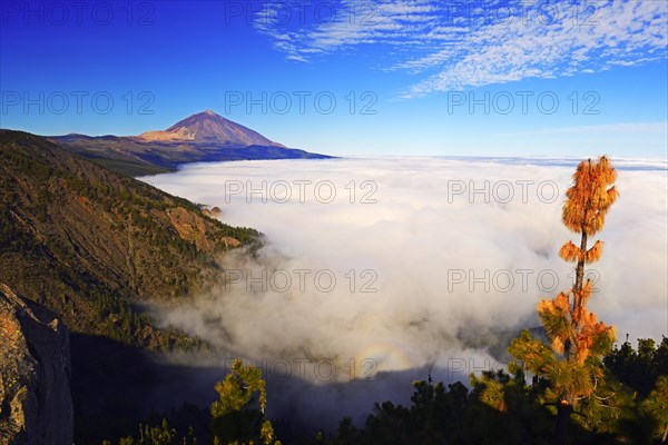 Pico del Teide at sunrise over trade wind clouds