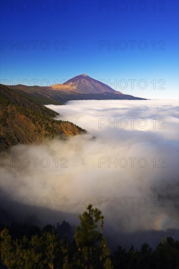 Pico del Teide at sunrise over trade wind clouds