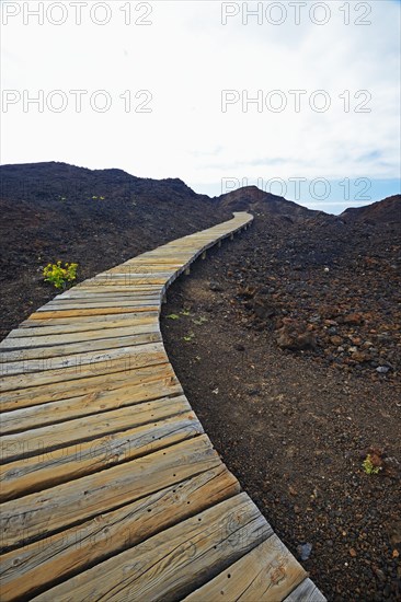 Boardwalk through lava fields