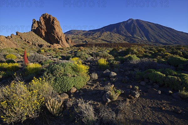 Rock formation