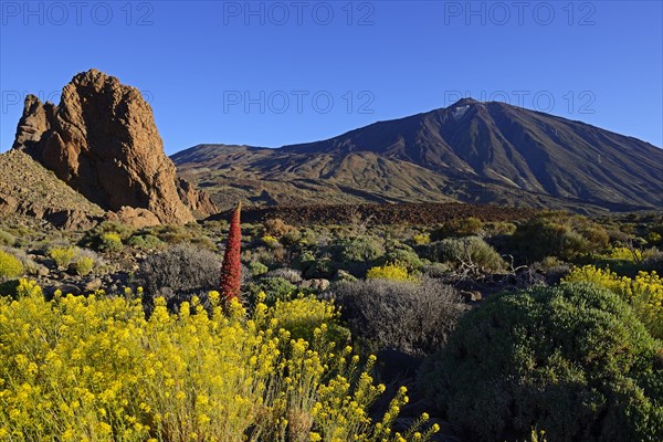 Roques de Garcia