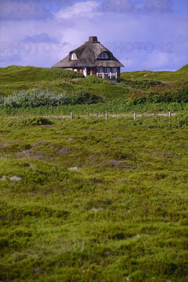 Typical Frisian house