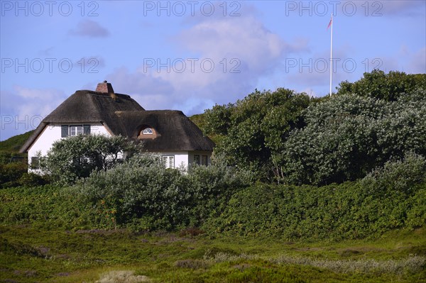 Typical Frisian house