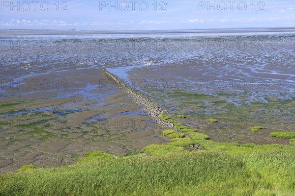 Low tide at the Wadden Sea