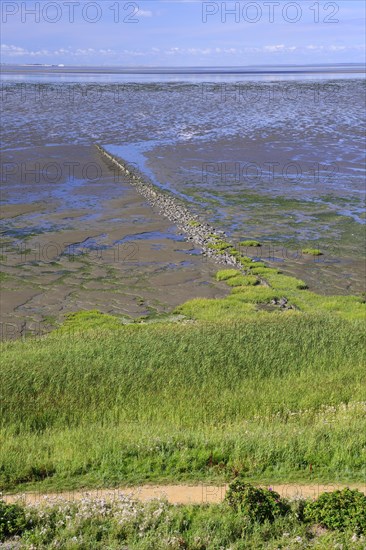 Low tide at the Wadden Sea