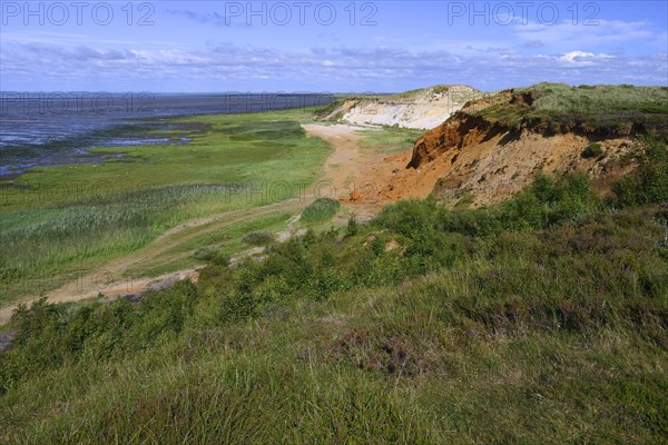 Morsum Cliff along the coast