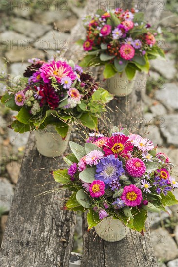 Three small autumn bouquets with Zinnia (Zinnia elegance)