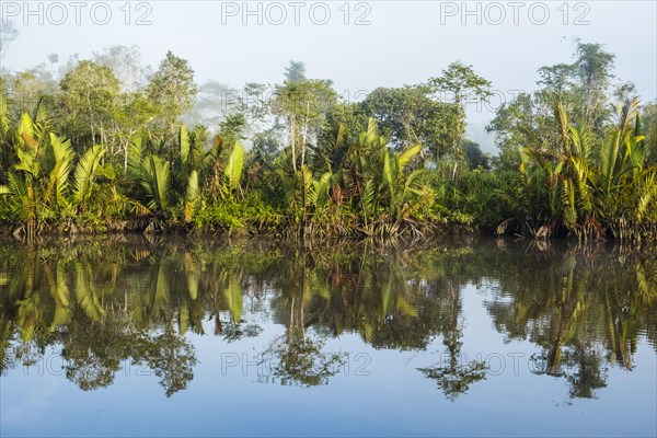 Morning atmosphere and water reflection in the river Sungai Sekonyer in Tanjung Puting National Park