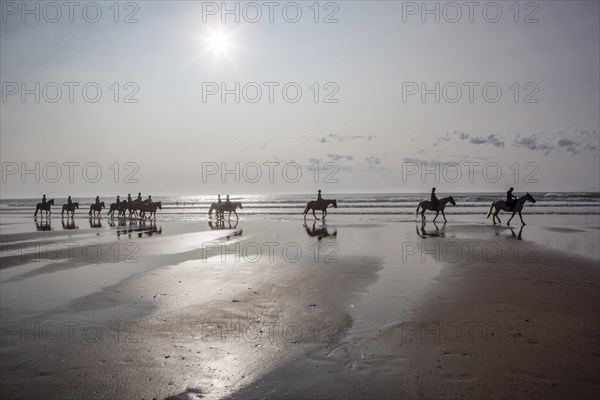 Group of riders on horses backlit on the beach