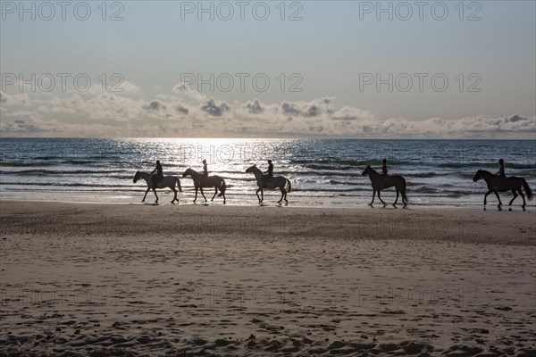 Group of riders on horses backlit on the beach