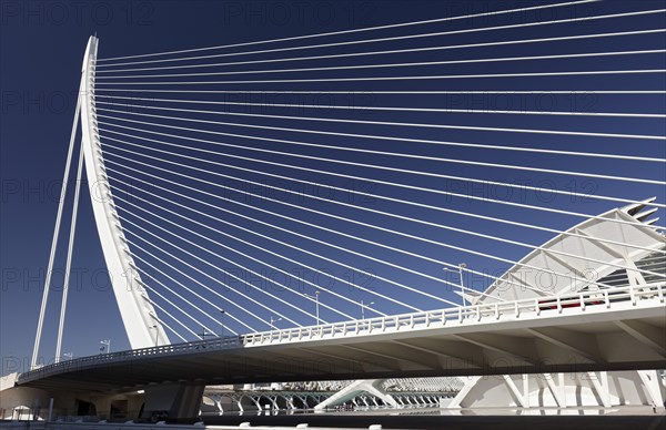 Harp-shaped cable-stayed bridge