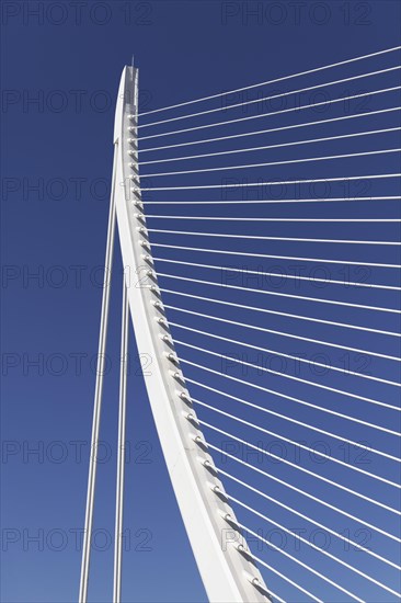 Harp-shaped cable-stayed bridge