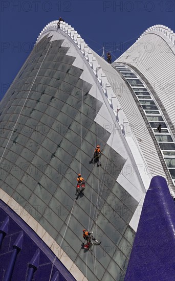 High climbers renovate the facade of the Agora