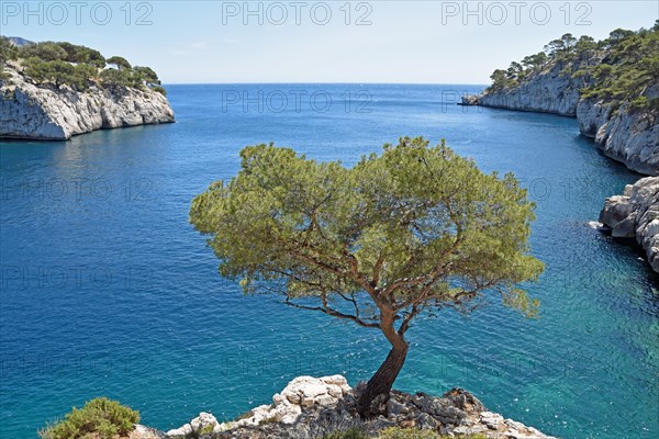 Calanque de Port Pin