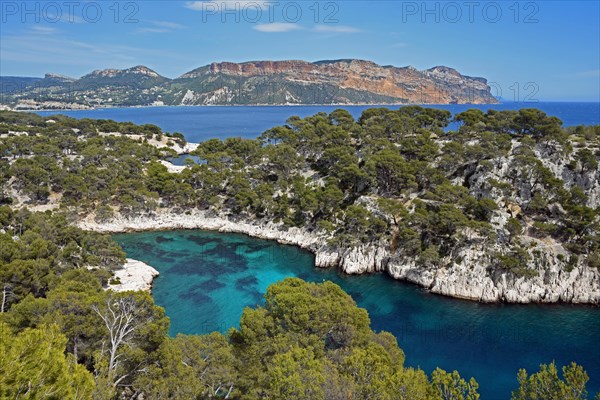 Calanque de Port Pin in front of Soubeyranes cliffs