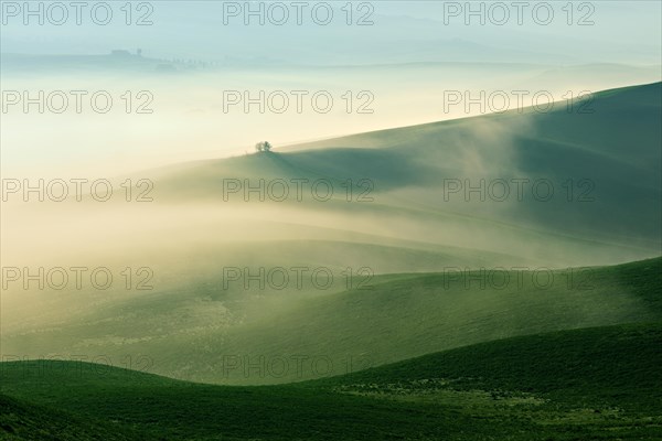 Morning atmosphere in Tuscany