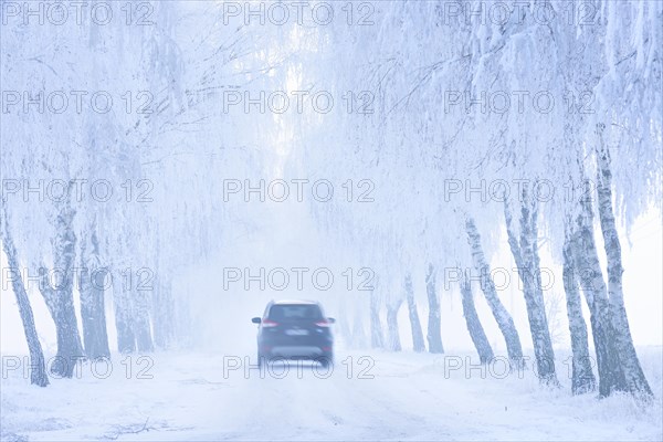 Car driving on snow-covered road through Birken-Allee with hoarfrost and fog
