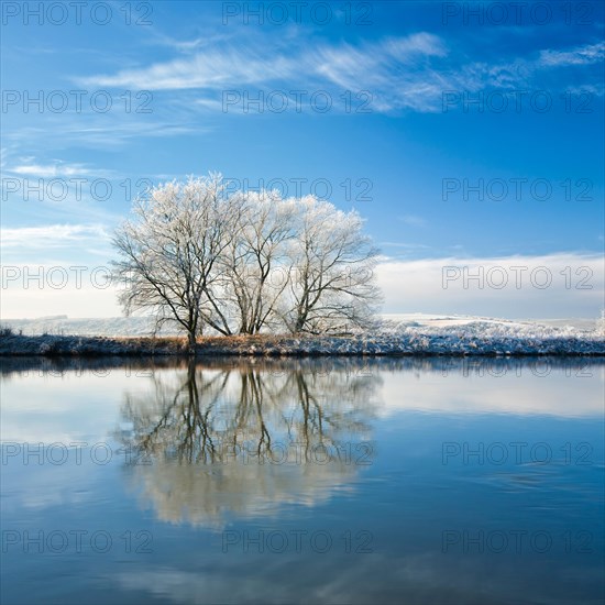 Cold winter day at the river Saale