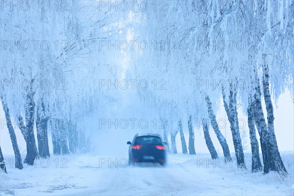 Car driving on snow-covered road through birch avenue with hoarfrost and fog