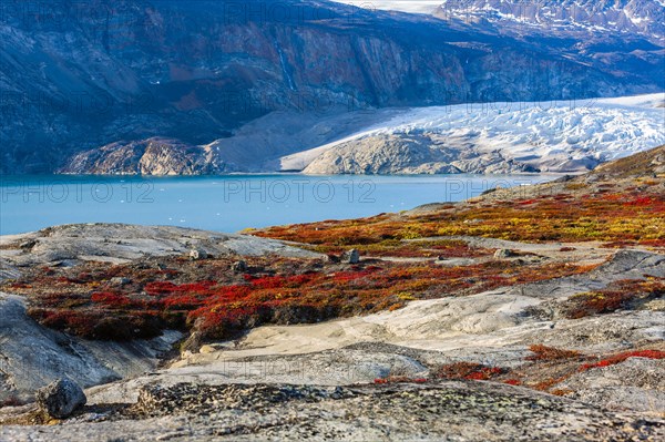 Colourful overgrown rocks in front of glacier tongue