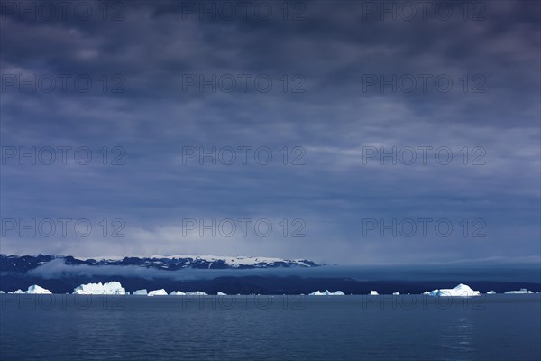 Icebergs in the Arctic Sea