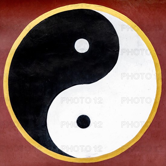 Yin and yang symbol