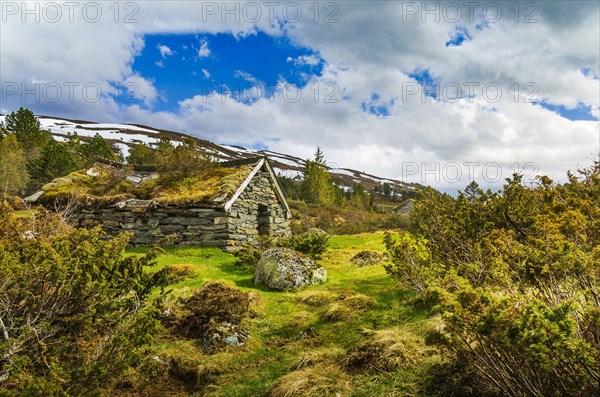 Old hut with a grass roof