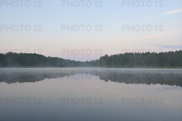 Morning fog over a lake